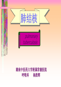 中西医肺结核