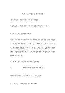 龙源．国际项目广告推广策划案（doc_28）