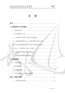 SOA推进战略白皮书
