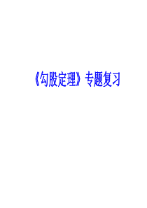 勾股定理专题复习