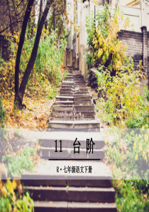 台阶ppt优秀课件