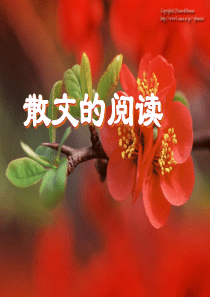 高考复习散文的阅读ppt课件