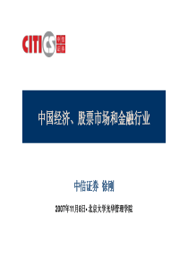 中国经济、股票市场和金融行业(中信证券 徐刚)