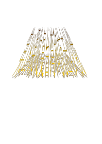 2015-2016学年七年级历史课件：第18课《收复台湾和抗击沙俄》(新人教版下册).ppt