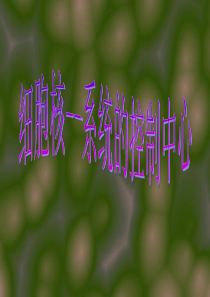 人教版高中生物必修一分子与细胞教学课件 第三节细胞核―系统的控制中心