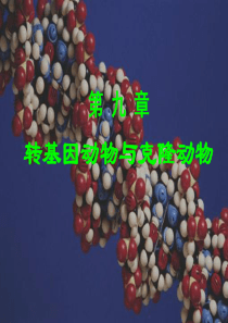 第九章-转基因动物与克隆动物