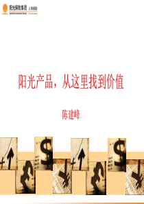 阳光产品体系(阳光产品,从这里找到价值)XXXX年3月2