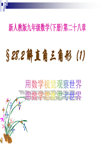 人教新课标九年级下----解直角三角形(1)课件 2