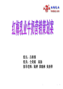 红梅乳业牛奶营销策划方案22