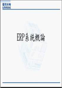 ERP系统概论