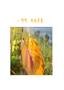 三年级语文上册 第十二课听听秋的声音课件