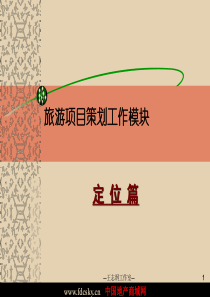 王志钢旅游项目策划工作模块定位篇