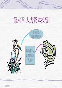 第六章+人力资本投资