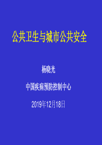 公共卫生与城市公共安全-PPT精选