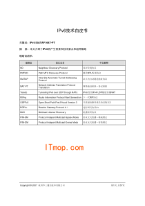 H3C_IPv6技术白皮书