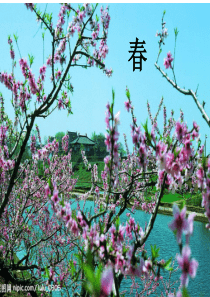 全国中小学百度搜索优秀教案评选《孔子游春》