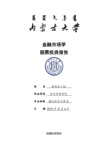 股票投资报告