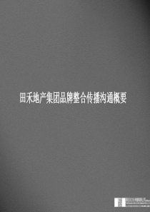 田禾地产集团品牌整合传播沟通方案