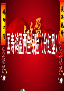 鸿盈产品介绍新
