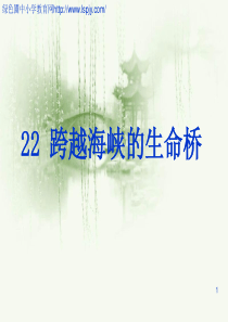 11四年级《跨越海峡的生命桥》ppt课件