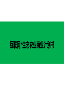 互联网+生态农业创业计划书