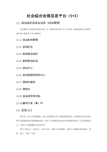 社会综合治理信息平台(9+X)