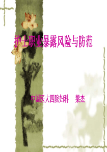 09-04-24护士职业暴露风险与防范