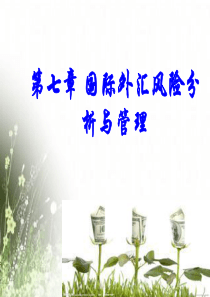 07外汇风险分析与管理