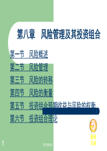 08第八章风险管理及其投资组合-副本