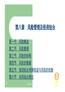 08第八章风险管理及其投资组合