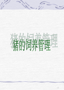 各阶段猪的饲养管理