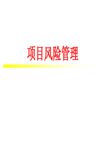 09项目风险管理