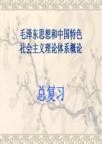 毛概复习串讲