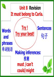 U8-It-must-belong-to-Carla复习课件-改