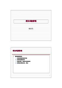 11项目风险管理
