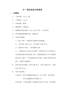 项目成本分析报告--陈涛