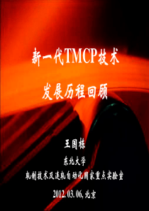 12项目风险管理