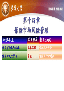 14第十四章保险市场风险管理