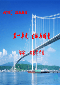2016届一轮复习  经济生活 第3课多彩的消费