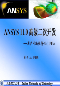 ANSYS-高级二次开发