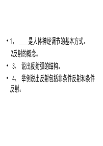 济南版生物七下第四节《人体对周围世界的感知》ppt课件