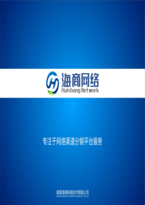 2011年度最新电子商务开店方案