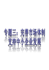 2013高考政治热点专题三：完善市场体制_支持中小企业发展