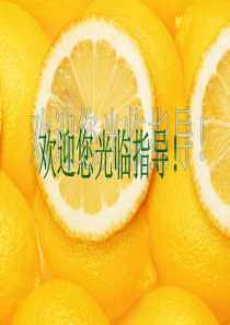 江苏省句容市天王中学八年级物理苏科版下册《气体的压强》课件