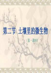 生物：12.2《土壤里的微生物》课件(苏科版七年级下)