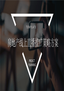 房地产线上直播推广策略方案-file
