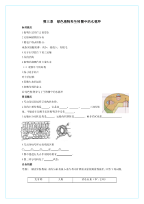生物：3.3《绿色植物与生物圈的水循环》复习学案(人教版七年级上)