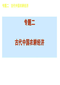 2019高考历史二轮复习课件-图文