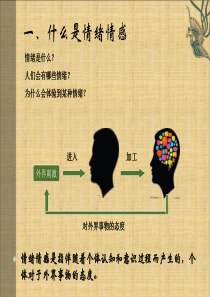 积极心理学-情绪情感