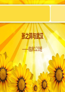 张之洞与武汉的发展